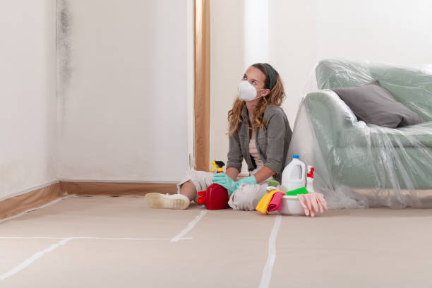 Reliable Attic Mold Removal contractor in Schwenksville, PA by WQB Mold Removal