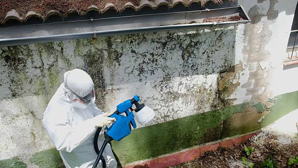 Top rated local Attic Mold Removal specialists in Schwenksville, PA
